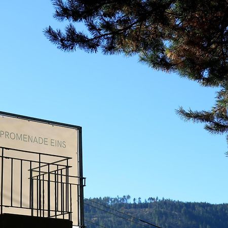 Top Five See & Bergblick - Haus Seepromenade Döbriach Dış mekan fotoğraf